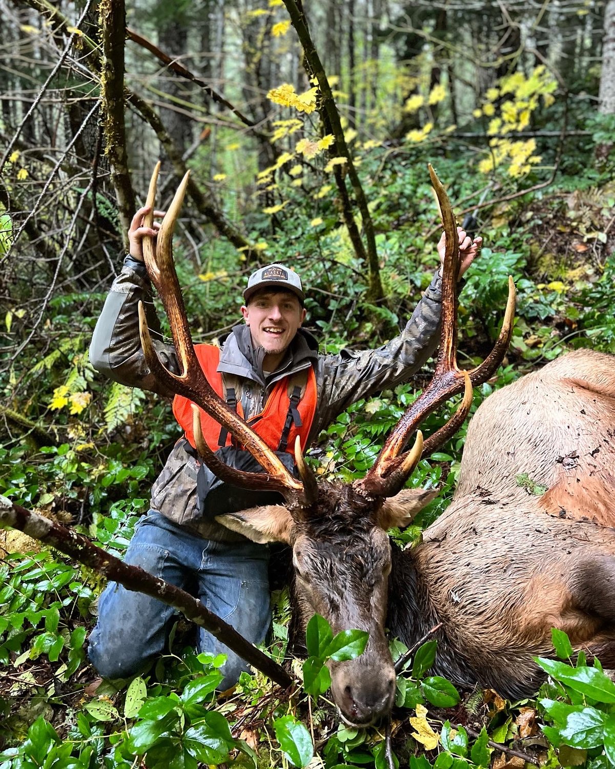 Bryce Lyon harvested this bull elk Saturday, Nov. 5. “Opening morning of modern firearm elk. My dad and father-in-law dropped me off on an old skid road. It’s about a 300-yard walk. I made it halfway when I looked up and saw this guy standing about 125 yards away from me. I pulled up my scope and saw that it was a legal bull. I dropped to one knee and fired a shot out of my 300 RUM. The bull humped up and started running. As I was reloading my rifle, I heard him crashing through the trees. The bull made it 65 yards from where he stood. This was my 13th elk season and this is my first elk. I am beyond blessed to have harvested such a beautiful animal. I harvested this bull in Southwest Washington. (Sorry not willing to give up my location.)” The Chronicle is publishing photos and details of local hunting and fishing outings in every Thursday edition. To be included, send photos and information to news@chronline.com.
